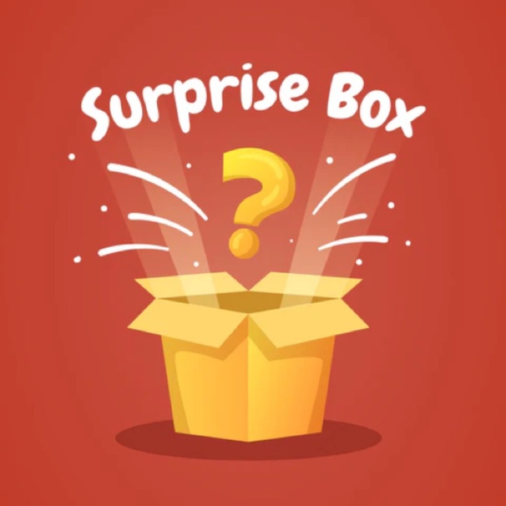 Mystery Surprise Box - 5 items all woman’s size small!!
